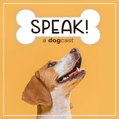 Speak! A Dogcast